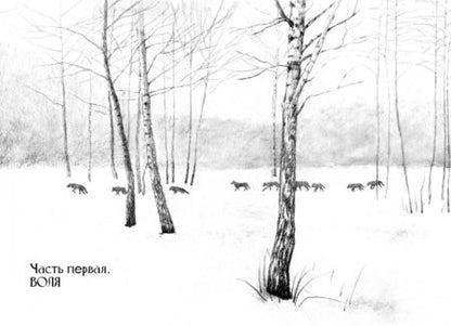 Фотография книги "Потиевский: Мага уводит стаю"