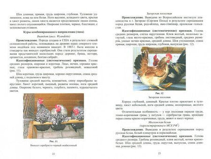 Фотография книги "Позняковский, Рязанова: Атлас аннотированный. Птица сельскохозяйственная. Пернатая дичь. Учебно-справочное пособие"