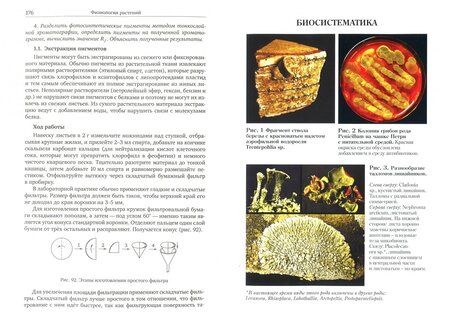 Фотография книги "Практическая биология для олимпиадников"