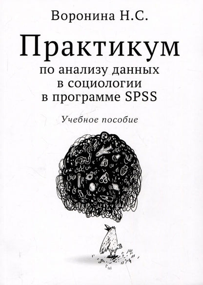 Обложка книги "Практикум по анализу данных в социологии в программе SPSS. Учебное пособие"