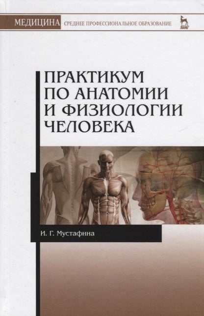 Обложка книги "Практикум по анатомии и физиологии человека. Учебное пособие"