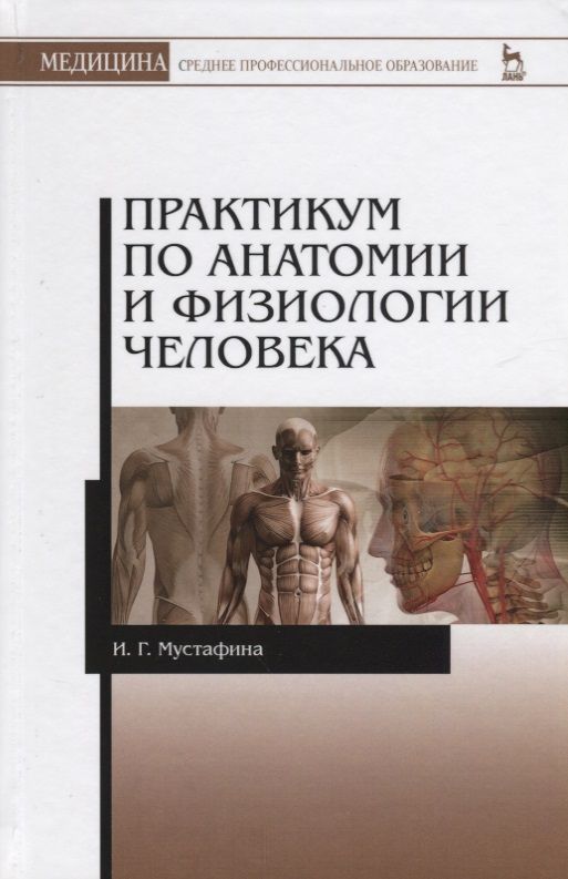 Обложка книги "Практикум по анатомии и физиологии человека. Учебное пособие"