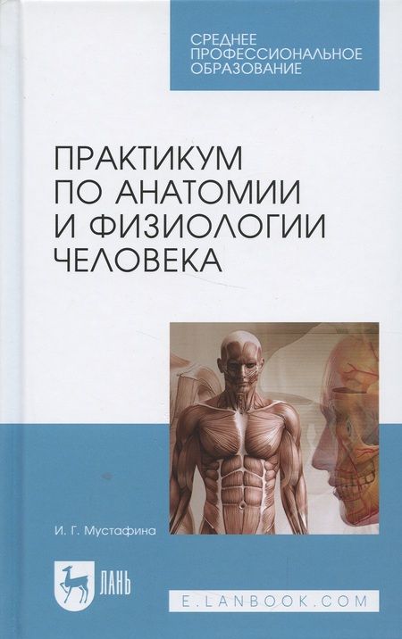 Фотография книги "Практикум по анатомии и физиологии человека. Учебное пособие"