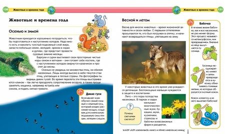 Фотография книги "Прати, Боцци, Палаццоло, Палаццески: Современная детская энциклопедия"