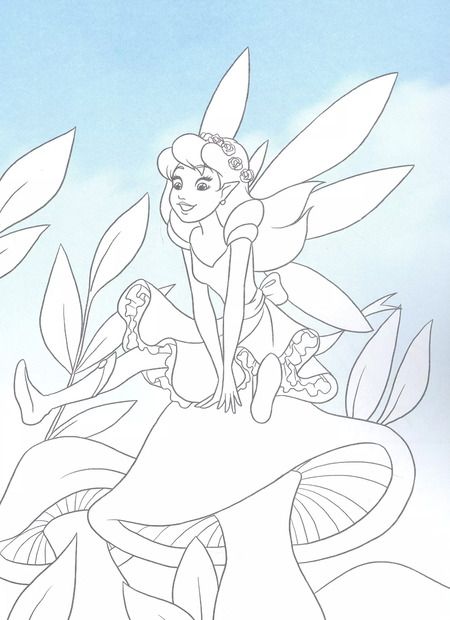 Фотография книги "Прекрасные всадницы"