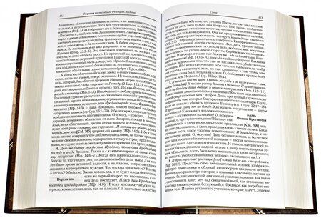 Фотография книги "Преподобный: Творения. Том 6. Нравственно-аскетические творения. Догматико-полемические творения. Слова"
