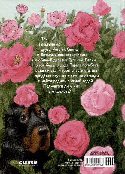 Фотография книги "Андрей Снесарь: Тайна Гусиных Лапок / Приключения, сказки, книги для детей"