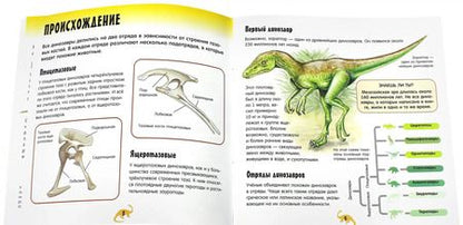 Фотография книги "Прикольный подарок. Шоу динозавров"