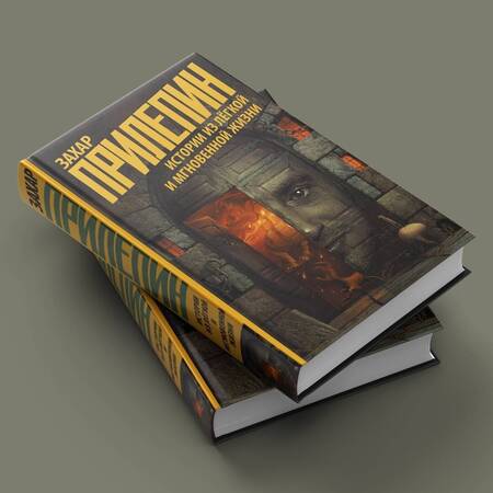 Фотография книги "Прилепин: Истории из лёгкой и мгновенной жизни"