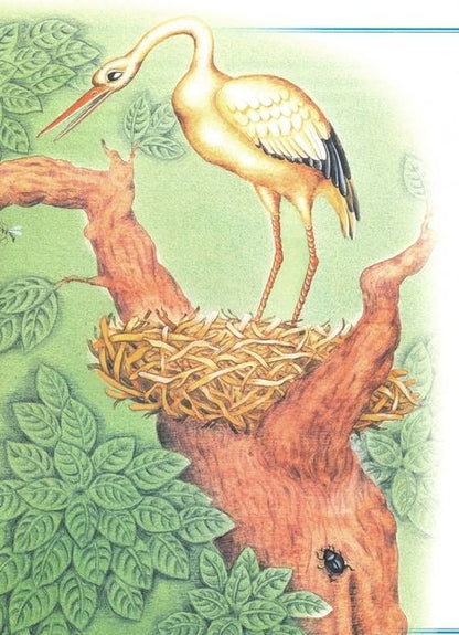 Фотография книги "Принцесса на горошине"