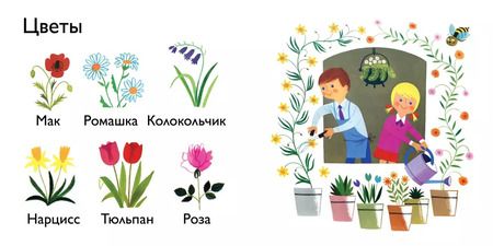 Фотография книги "Природа"
