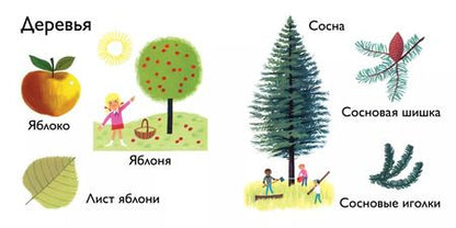 Фотография книги "Природа"