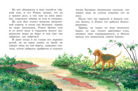 Фотография книги "Пришвин: Лисичкин хлеб. Рассказы о животных"