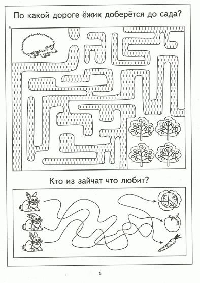 Фотография книги "Пройди лабиринты Задания на зрит. Восприят. и мелкую моторику рук (4-5л.) (мПапкаДошк) (папка)"