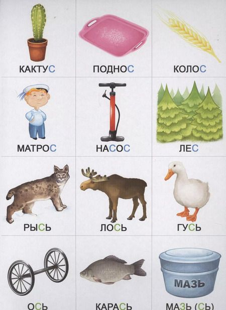 Фотография книги "Произносим звуки правильно. Развивающая игра-лото"