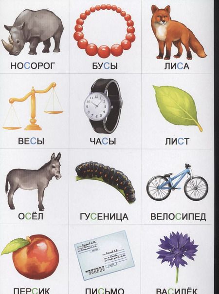 Фотография книги "Произносим звуки правильно. Развивающая игра-лото"