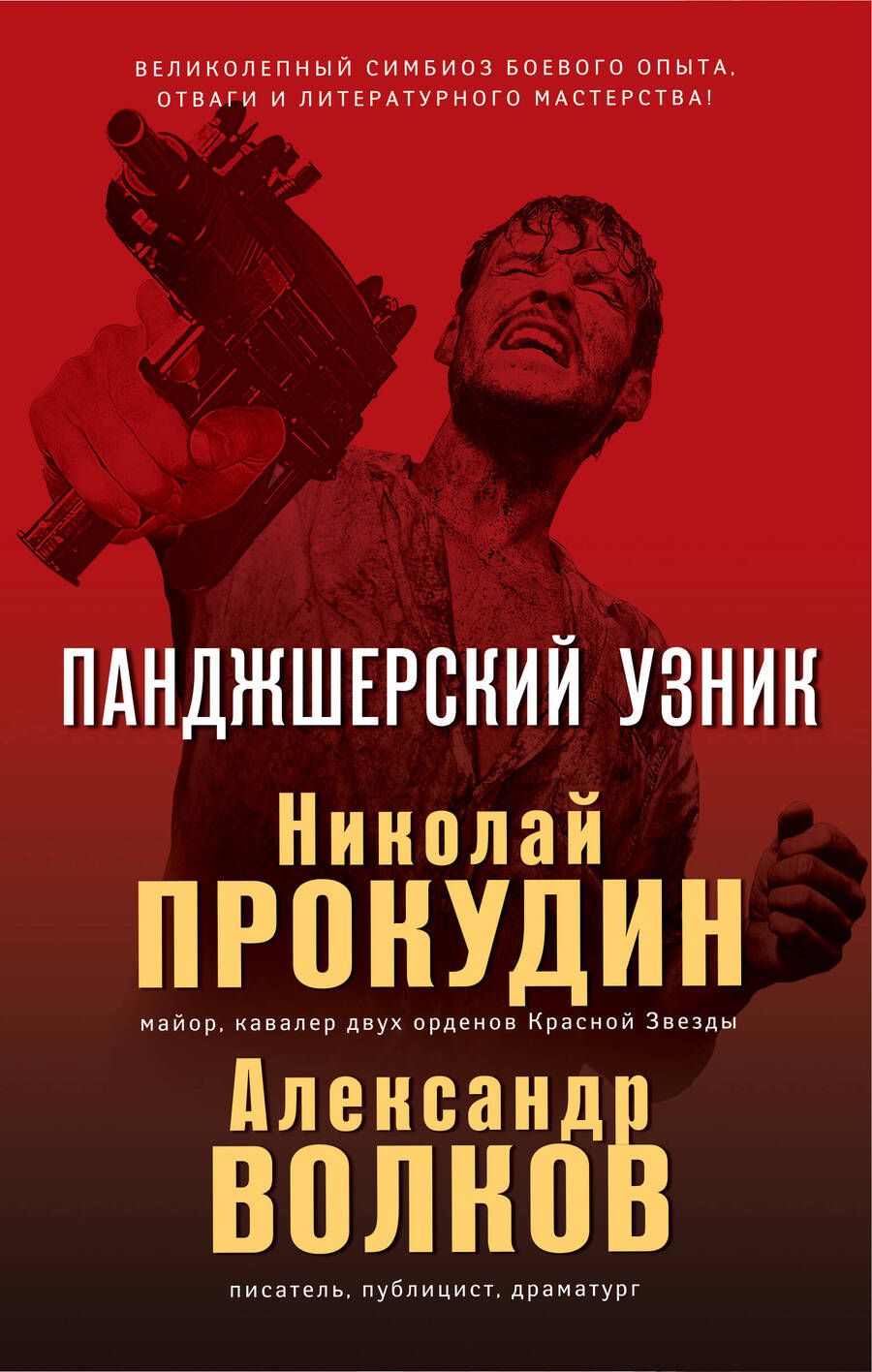 Обложка книги "Прокудин, Волков: Панджшерский узник"