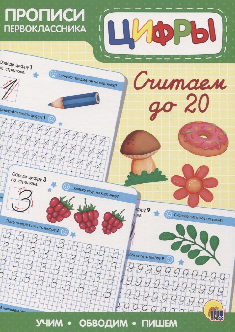 Обложка книги "Пропись. Считаем до 20"