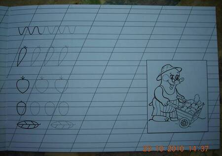 Фотография книги "Прописи. Учимся писать дома"