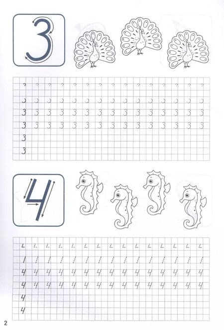 Фотография книги "ПРОПИСИ ДЛЯ ХОРОШЕГО ПОЧЕРКА. ЦИФРЫ И БУКВЫ"