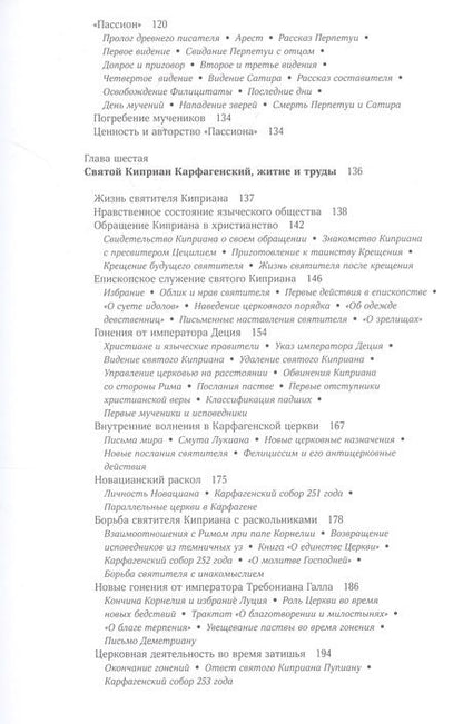 Фотография книги "Протоерей: Жизнь Древней Карфагенской церкви в Римский период"