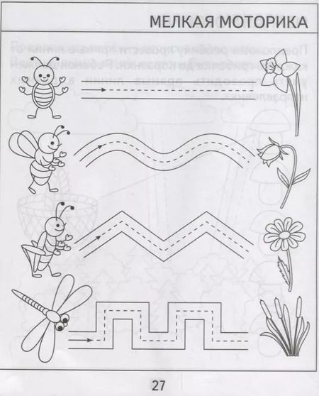 Фотография книги "Проверяем знания дошкольника. Тесты для детей 4 года. Часть 1. Внимание, память, мышление, мелкая моторика."