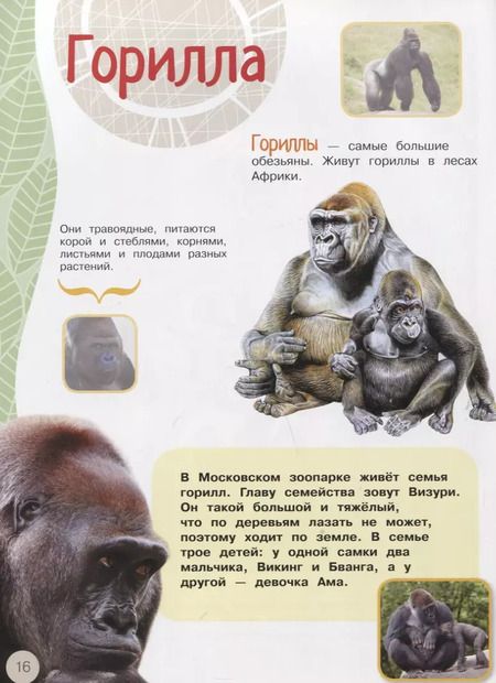 Фотография книги "Проворные малыши.Обезьянки. Наклейки. Интересные факты. Карта зоопарка"