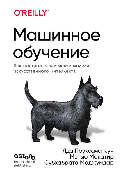 Обложка книги "Пруксачаткун, Макатир, Маджумдар: Машинное обучение. Как построить надежные модели искусственного интеллекта"