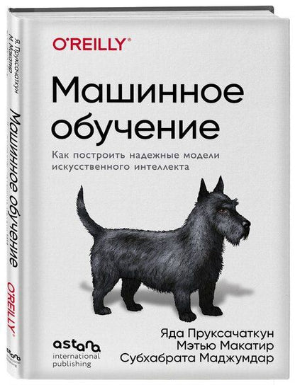Фотография книги "Пруксачаткун, Макатир, Маджумдар: Машинное обучение. Как построить надежные модели искусственного интеллекта"