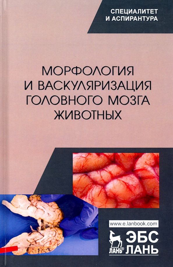 Обложка книги "Прусаков, Зеленевский, Щипакин: Морфология и васкуляризация головного мозга животных. Монография"