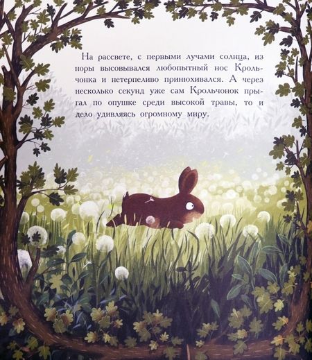 Фотография книги "Пшемыслав Вехтерович: Друзья навсегда"