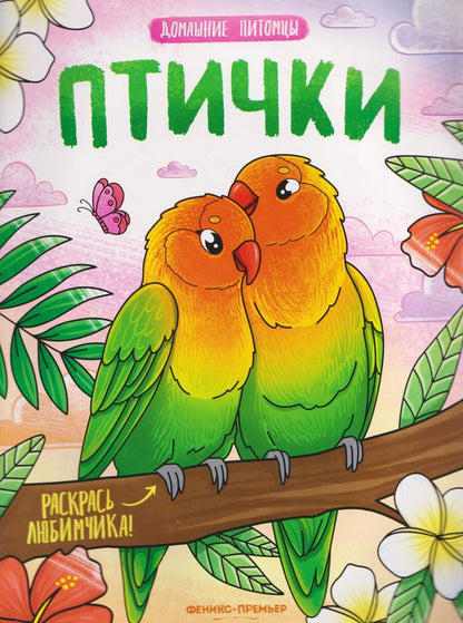 Обложка книги "Птички: книжка-раскраска"