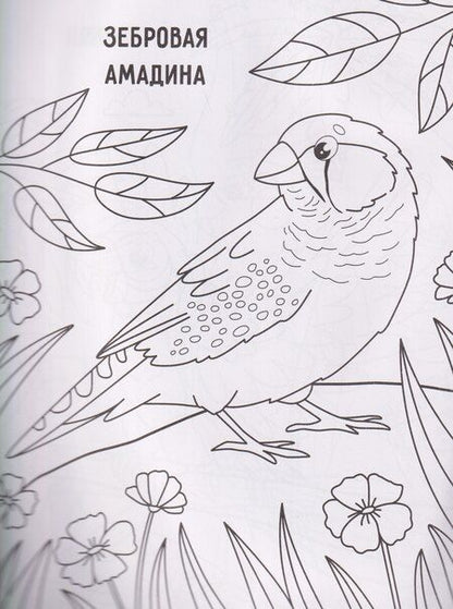 Фотография книги "Птички: книжка-раскраска"