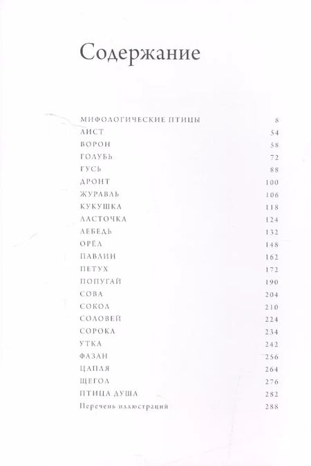 Фотография книги "Птица по имени"