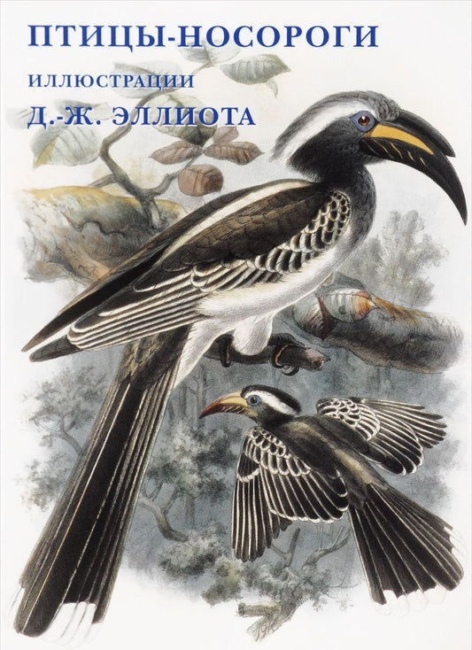 Обложка книги "Птицы-носороги. Набор открыток"