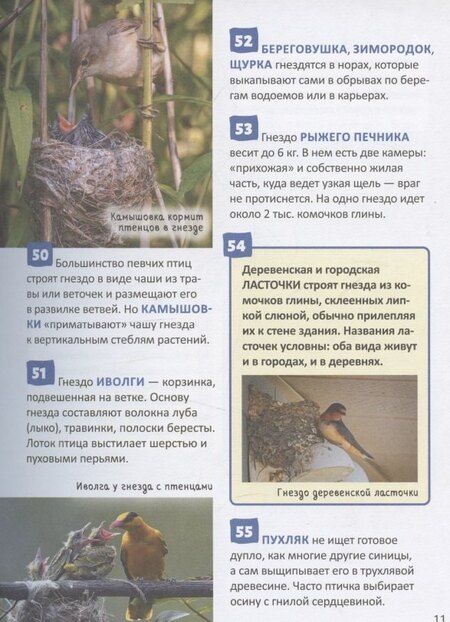 Фотография книги "Птицы. Энциклопедия российского школьника"