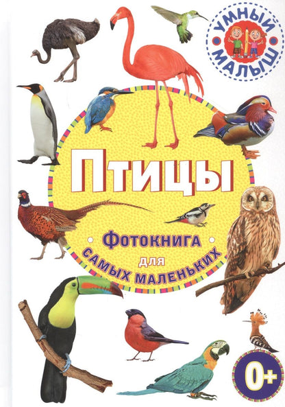 Обложка книги "Птицы. Фотокнига для самых маленьких"