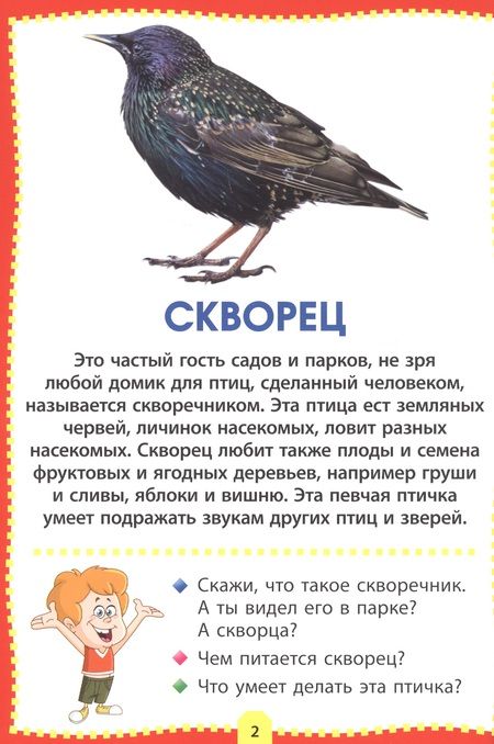 Фотография книги "Птицы. Фотокнига для самых маленьких"