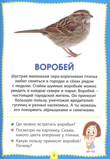 Фотография книги "Птицы. Фотокнига для самых маленьких"