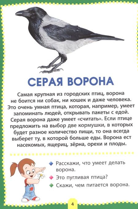 Фотография книги "Птицы. Фотокнига для самых маленьких"