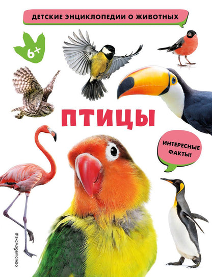 Обложка книги "Птицы"