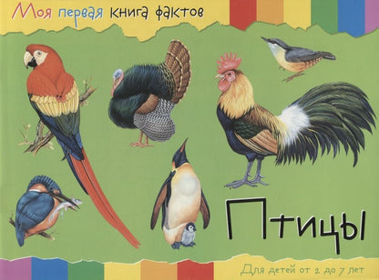 Обложка книги "Птицы (2-7 лет) (+ накл.) (мМояПервКнФакт)"