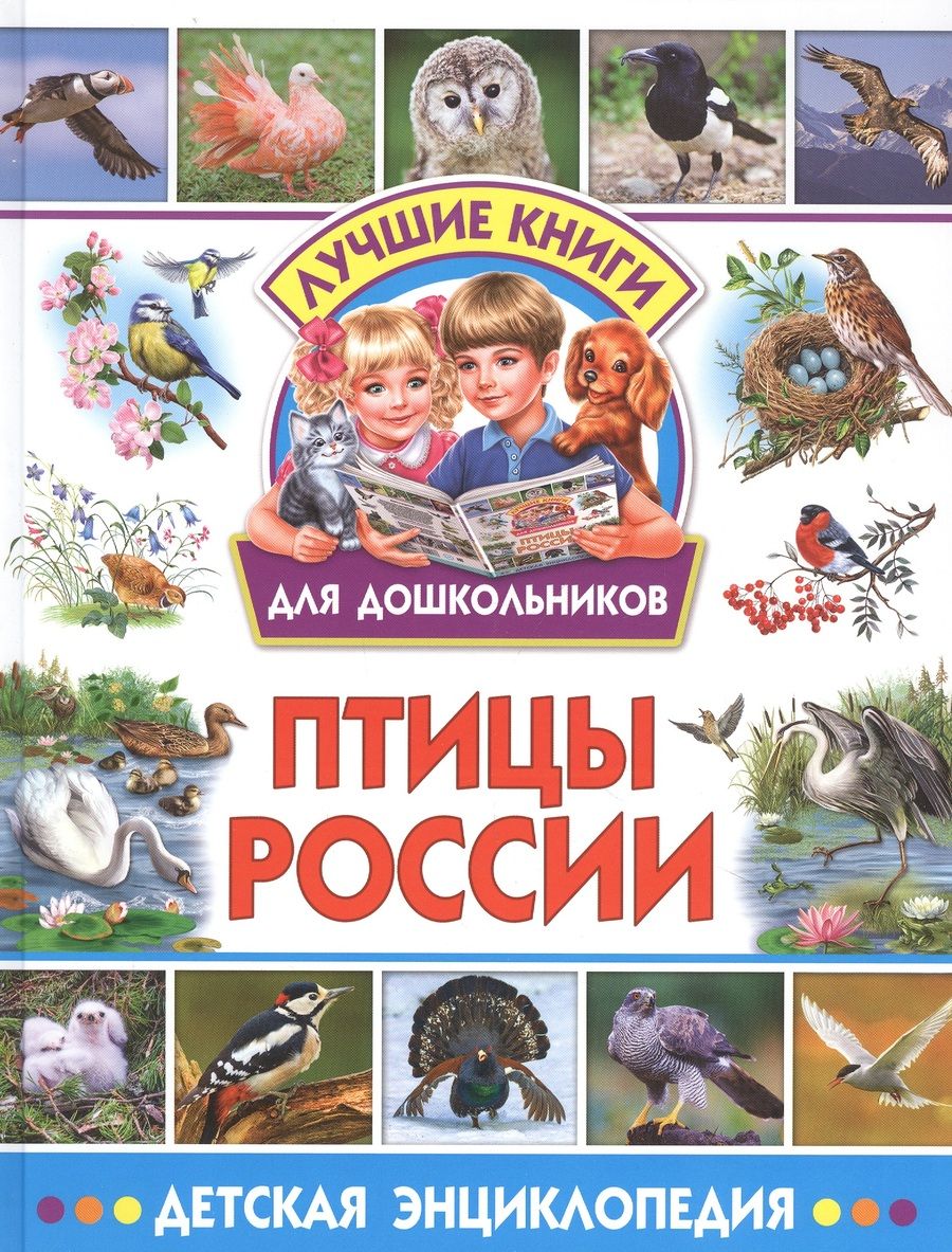 Обложка книги "Птицы России. Детская энциклопедия"