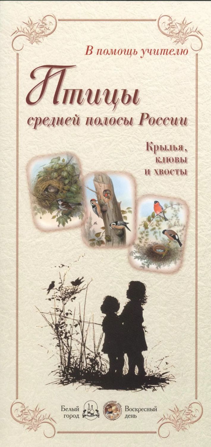 Обложка книги "Птицы средней полосы России. Крылья, клювы и хвосты"