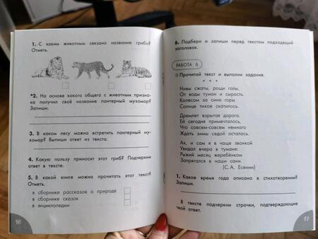 Фотография книги "Птухина: Функциональное чтение. 1 класс. Читаю. Понимаю. Отвечаю"