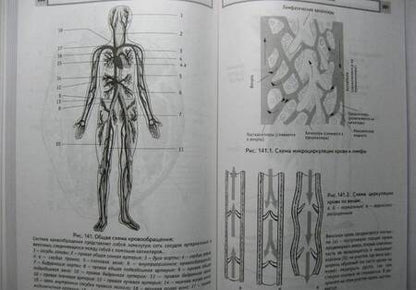 Фотография книги "Пучко: Многомерный человек. Новый высокоэффективный алгоритм самоисцеления человека и лечения животных"
