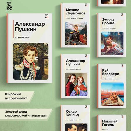 Фотография книги "Пушкин: Дубровский"