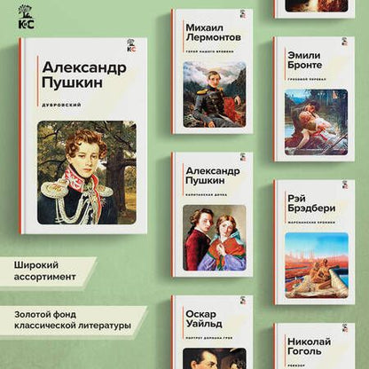Фотография книги "Пушкин: Дубровский"