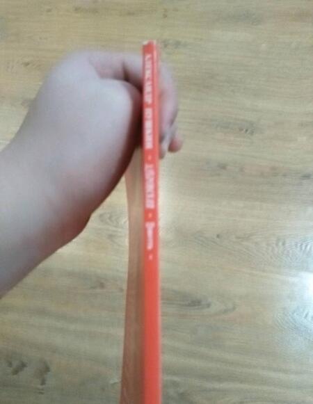 Фотография книги "Пушкин: Дубровский"