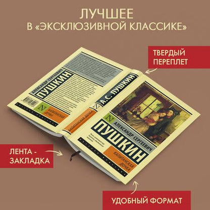 Фотография книги "Пушкин: Капитанская дочка"